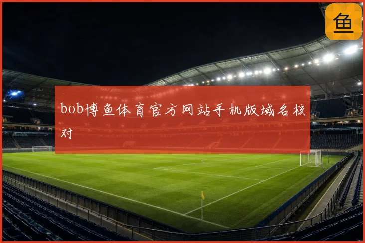 bob博鱼体育官方网站手机版域名核对