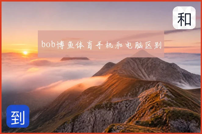 bob博鱼体育手机和电脑区别